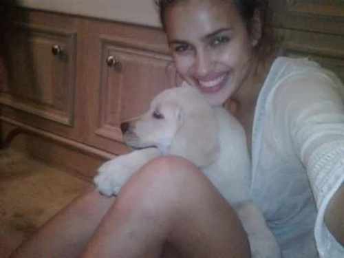 pogudx621til3c3fe.81ff9f64