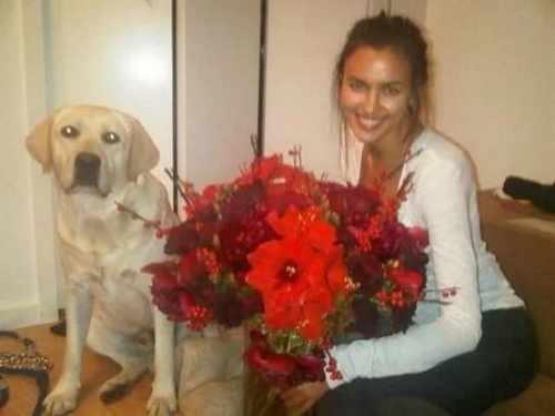 pogudx7gecs6ecese.24e5db71