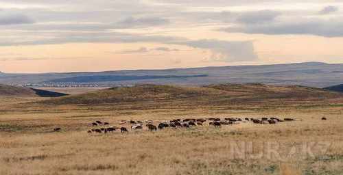 pogudx1kl5pacqfft8.87850d5c