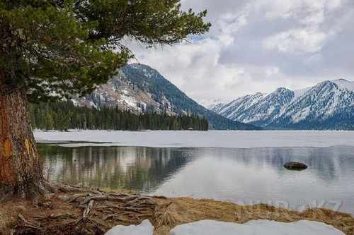 pogudx1thoil3dbaoo.ee1764a2