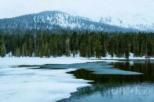 pogudx1vcso8brgigo.278a3ee1