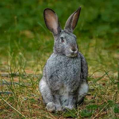 pogudx263s9j8jo3ug.0c748679