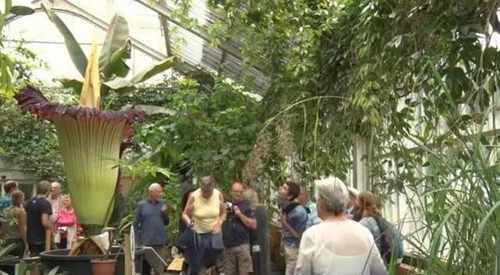 pogudx2d2ob9gls6vg.8e551d5d