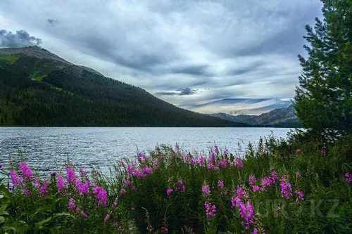 pogudx2fr7tkpj4ur.3769bc04