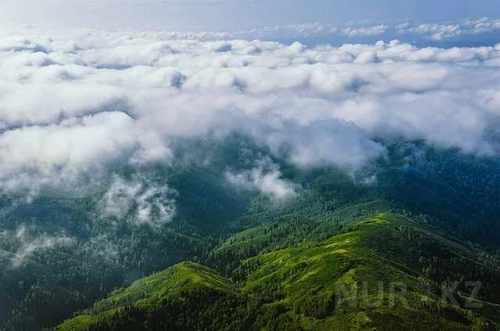 pogudx2vrdckde3g4.31ee52bb