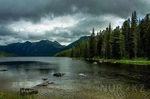 pogudx33pkk0jviobg.3a6011f3