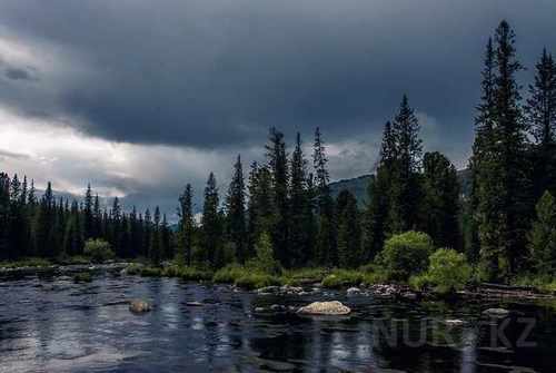 pogudx3813v8viaab.cea596fc