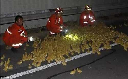 pogudx39n4an9g9uag.7cc9faca