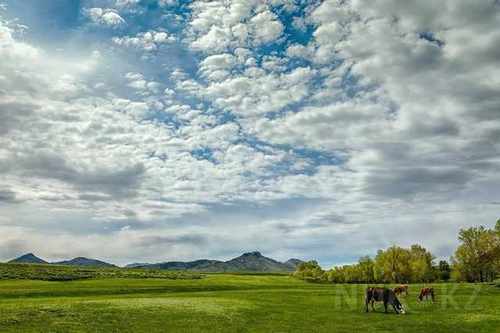 pogudx3nh3j8ts423.41aca1fd