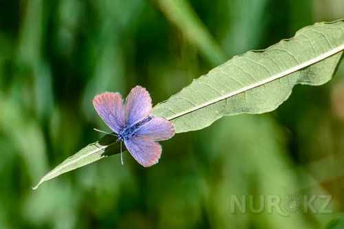 pogudx3of1ulvj9a8.4e338407