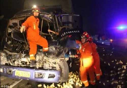 pogudx4v78iempujv.66af88f7