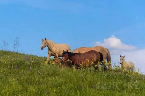 pogudx55ajk2dkckl.ad026304