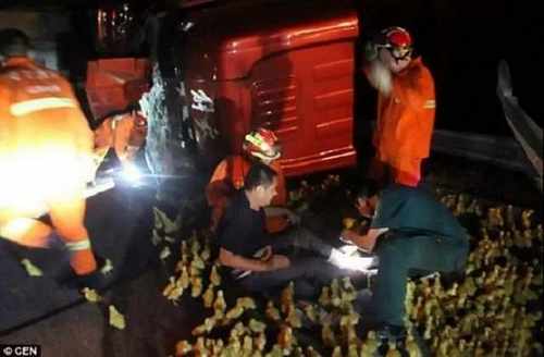 pogudx5oo16g48epb.88c3c680