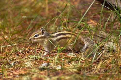 pogudx6gkqhe0vkd6.dedaeda4