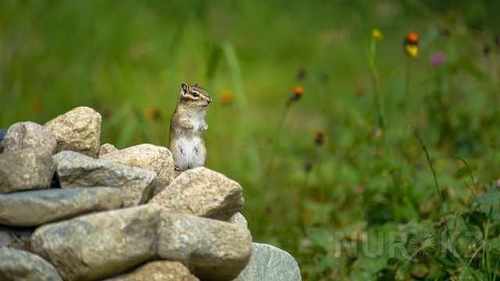 pogudx71sfp4sad92.2e057a78