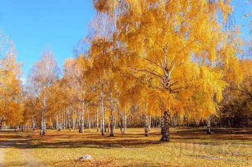 pogudx7qk07qhhqm8.6962d8a2