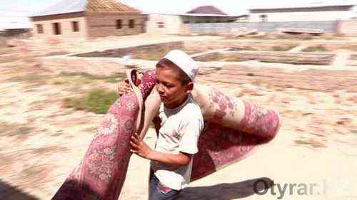 0400100a77d3054768c9e81e7cffb2bb