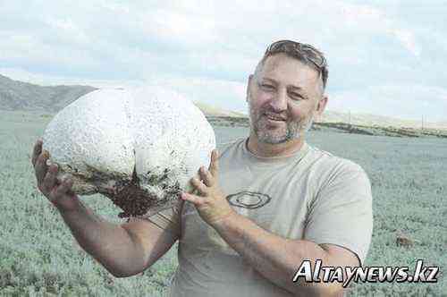 1a3aa65700fcef70a992376267bfeab5