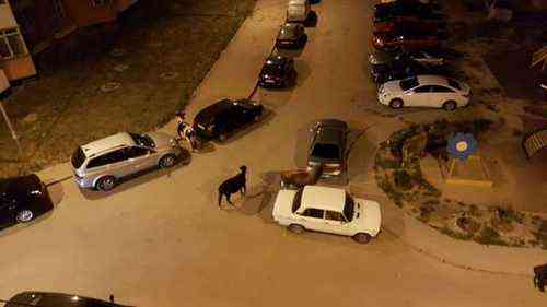 3147890b88fb0408fdb98bbc5324871e