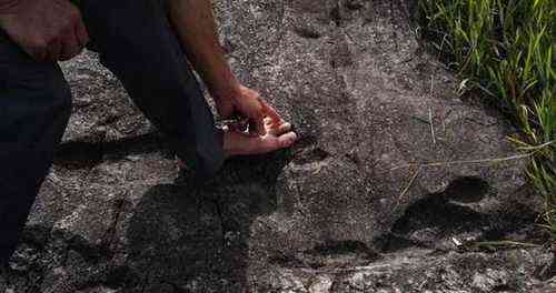 3839f6a01f212d316019180eed221246