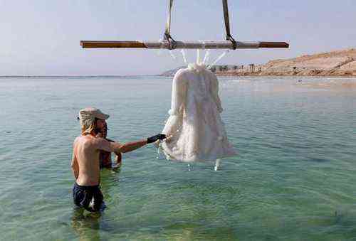 3bc563685a18830f601660487d38a7c6