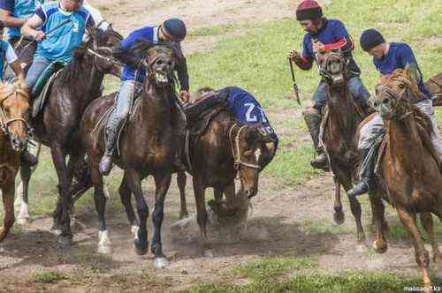 3c5ca8d35242413ca7862303d30d9cd6