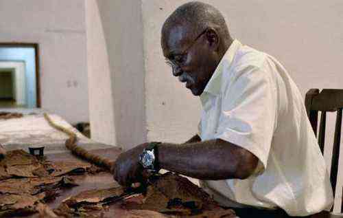 Cuban four times Guinness winner Jose Castelar, rolls a cigar on April 25, 2011 in Havana. Castelar begins this Monday the preparation of a 70-metre-long cigar, aiming to break the present record of 45 metre.    AFP PHOTO/STR