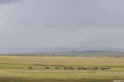 59029f3ab2a4144140a1db2ebd8889b8