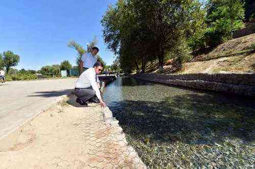 9d9cbb53e4fbc5e735d868717e2b0183