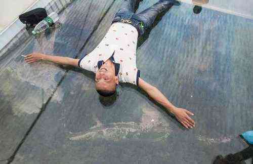 b988eb4ad401723e6a93fe2aa0c14977