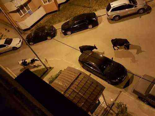 e44a304ae0882ce7c8ed9c8bbfdd6ddc