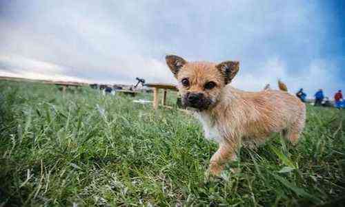 pogudx1dm45ufgseag.30b171bb