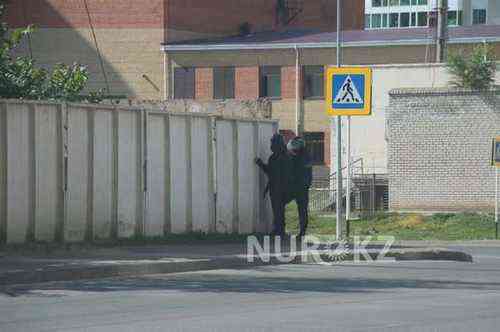 pogudx2q9kouibo6r.1c290cf1