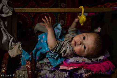 pogudx34n4l5hq17f.cae15464