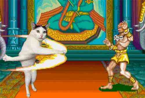 pogudx3c249m4i4m8g.064caae4