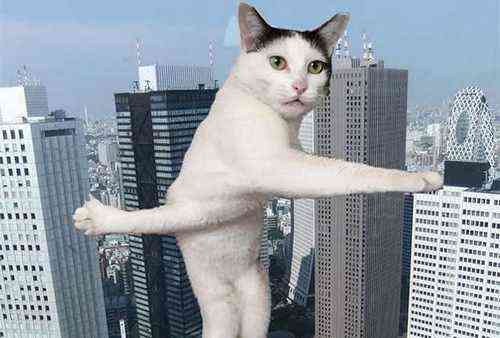 pogudx43ircmjq9df.7020d5e4