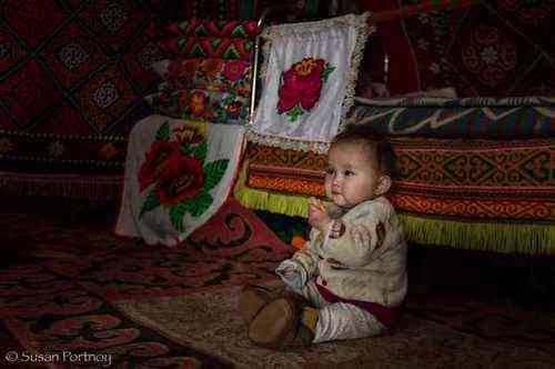 pogudx4jj01hrsvi5.efd38b33