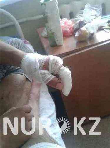 pogudx64pinbao7pl.3c2bdec8