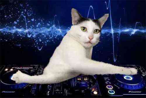 pogudx6b5kke46j06.0b378f9c