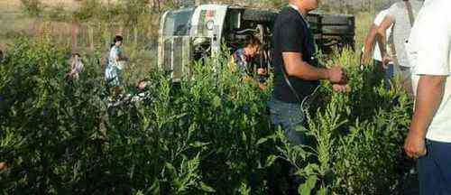 pogudx6fttudeff2l.a3353af5