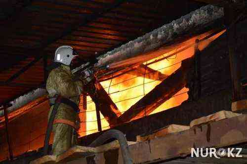 pogudx6kt19dmuaqg.72fc6ecc