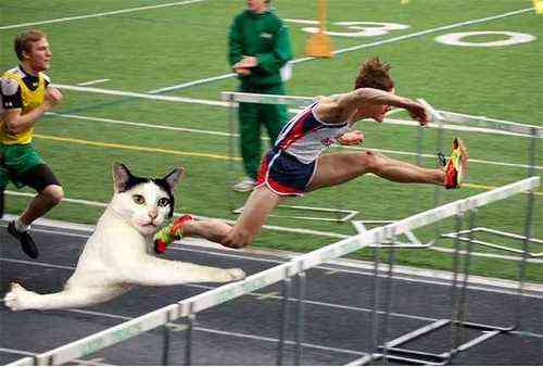 pogudx7n5cv5ojo91.4edce0ca