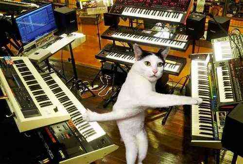 pogudx944jqqkr73q.3ade6e7c