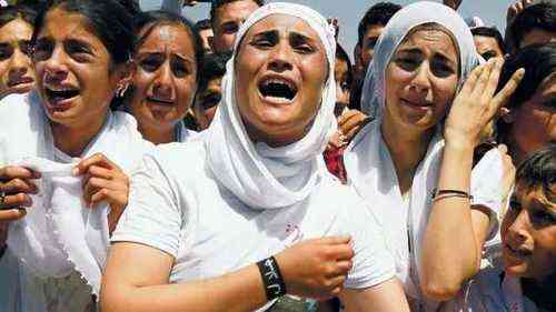 pogudxqs05246vb24.b0702fc6