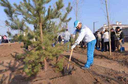 4c7652713c917d681ce2c879d1871af7