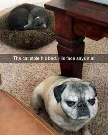 59b357ccccff28364a5a484de88228d5