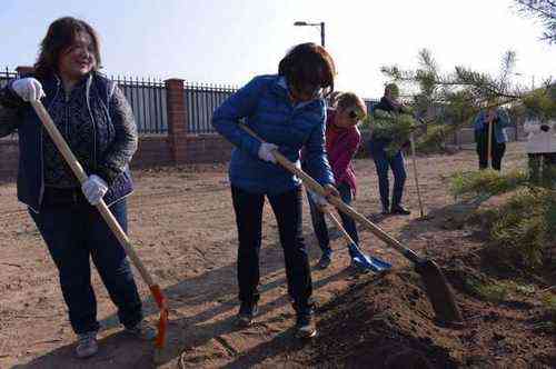 89faf8df73b6cdd4a435286f0998d350