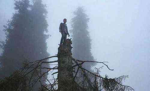 pogudx33n056i4id3g.2510f50a