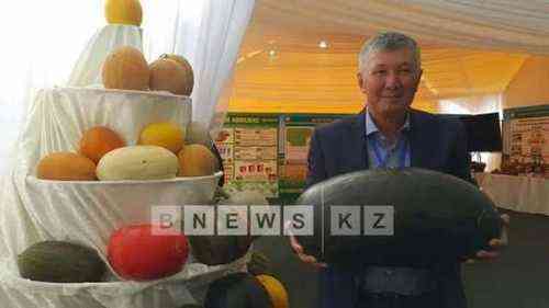 pogudx3j2kumj6pht.75aecf6f