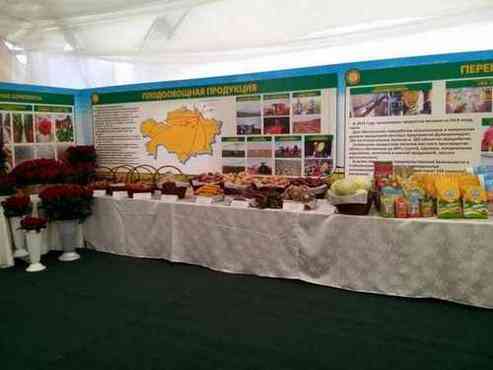 pogudx501du3k36f5.cdc9215f